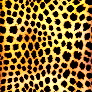 Distressed Leopard Texture Png 05212024 PNG image