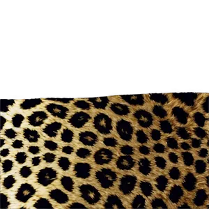 Distressed Leopard Texture Png Umu3 PNG image