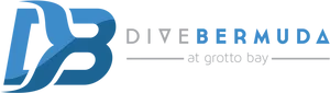 Dive Bermuda Logo PNG