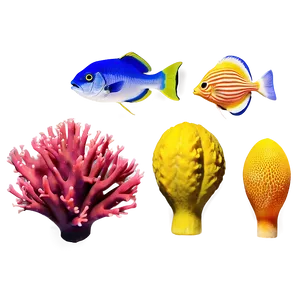 Diverse Coral Species PNG Uwa41