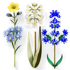 Diverse Wildflowers Collection Png 26 PNG image