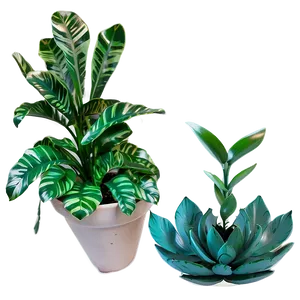 Diy Fake Plant Project Png 64 PNG image