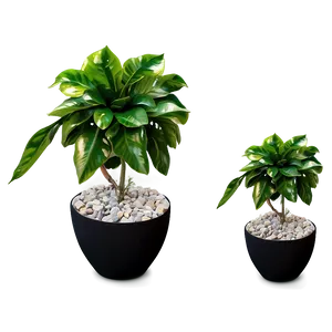 Diy Fake Plant Project Png 86 PNG image