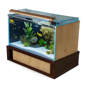 Diy Fish Tank PNG 21 PNG