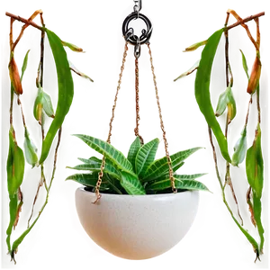 Diy Hanging Plant Png Gmp PNG image