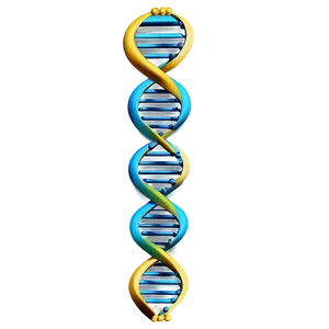 Dna And Genes PNG Kmg43 PNG