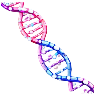 Dna Chain Closeup PNG 05242024 PNG