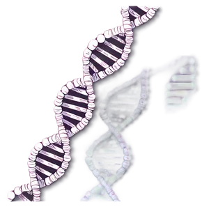Dna Fingerprinting Graphic PNG 48 PNG