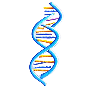 Dna Helix Model PNG 63