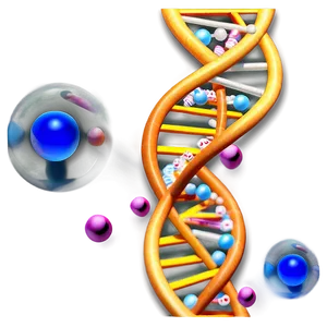 Dna Helix Model PNG 99