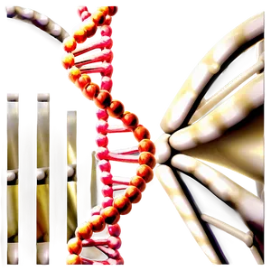 Dna Helix Model PNG Gde84
