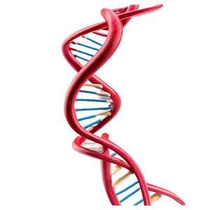 Dna Helix Model PNG Kbe9