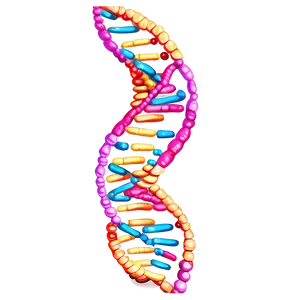 Dna Replication Diagram Png Ryv PNG image