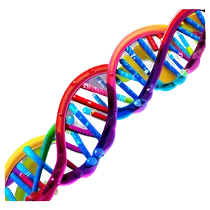 Dna Science Education PNG Dev13 PNG