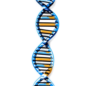 Dna Sequencing Chart PNG Apq61 PNG