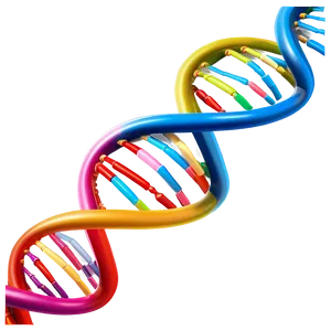 Dna Strand Break PNG 05242024 PNG
