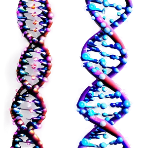 Dna Strand Break PNG 34 PNG