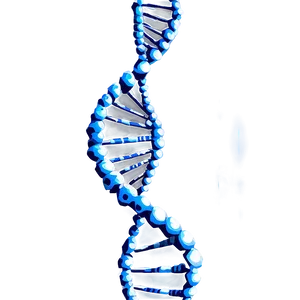 Dna Strand Break PNG 5 PNG