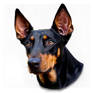 Doberman Dog Head PNG Vwn66 PNG