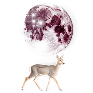 Doe And Full Moon PNG 17
