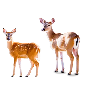 Doe Being Curious PNG Vdt PNG