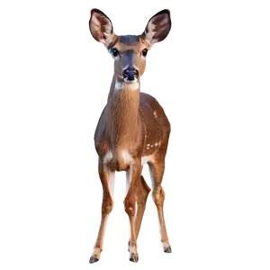 Doe With Majestic Pose PNG 59 PNG