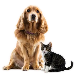 Dog And Cat At Home Png 06242024 PNG image