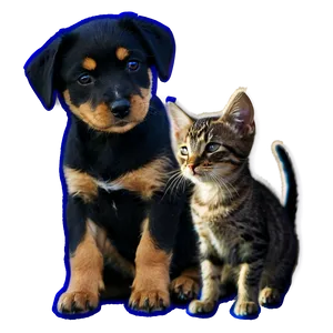 Dog And Cat At Sunset Png 06242024 PNG image