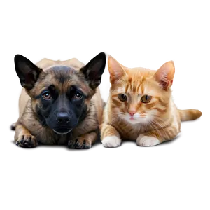 Dog And Cat B PNG image