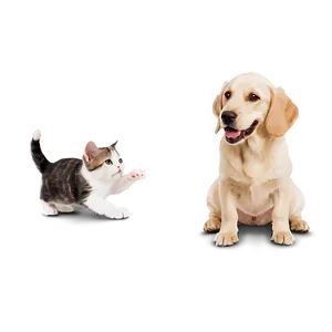 Dog And Cat Friendship Png 06242024 PNG image