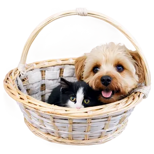 Dog And Cat In Basket Png 06242024 PNG image