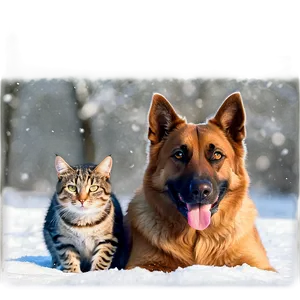 Dog And Cat In Winter Png 06242024 PNG image