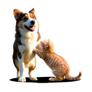 Dog And Cat Playing Png Qtr PNG image