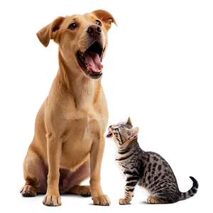 Dog Barking At Cat PNG 56