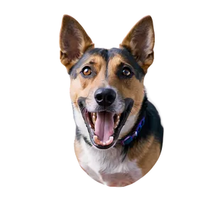 Dog Barking C PNG image