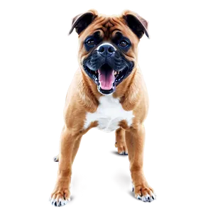 Dog Barking Drawing Png 06272024 PNG image