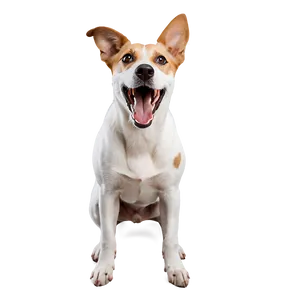 Dog Barking Loudly Png 72 PNG image