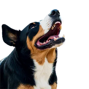 Dog Barking Noise PNG 93