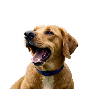 Dog Barking Profile Png 06272024 PNG image