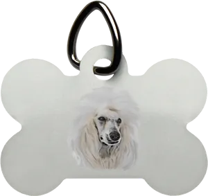 Dog Bone Tagwith Poodle Graphic PNG image