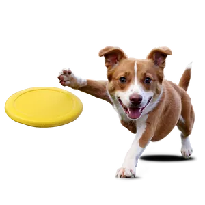 Dog Catching Frisbee Png 05232024 PNG image