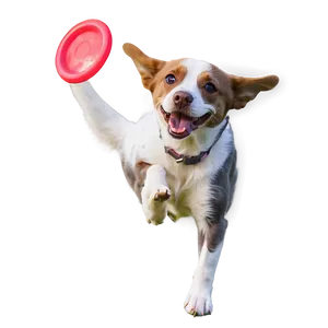 Dog Catching Frisbee Png 05232024 PNG image