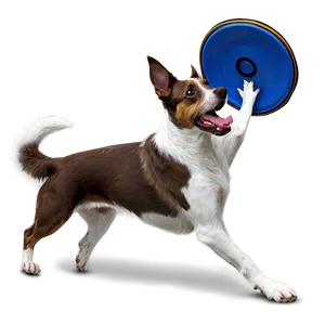 Dog Catching Frisbee Png Jdg98 PNG image