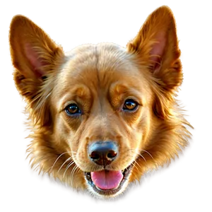 Dog Ear Floppy Png Ncf71 PNG image