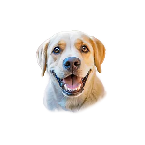 Dog Face Caricature Drawing PNG Nnm15 PNG