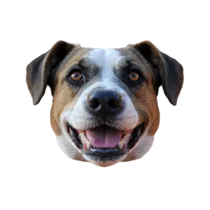 Dog Face Filter Effect Png Nwg25 PNG image