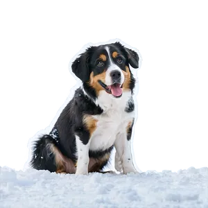 Dog Face In Snow Scene PNG 41 PNG