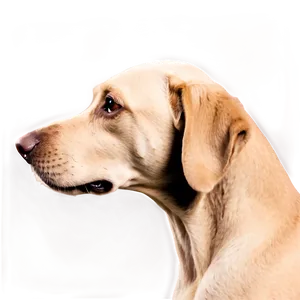 Dog Face Profile View Png 19 PNG image