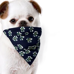 Dog Face With Bandana PNG 06212024