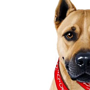 Dog Face With Bandana PNG 85